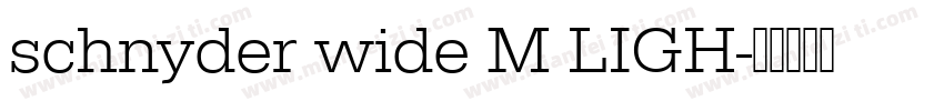 schnyder wide M LIGH字体转换